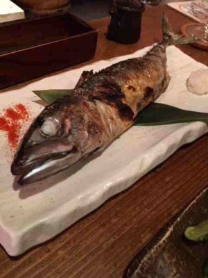 お魚丸焼き ブログ モリー君が行く 平塚や二宮 大磯の不動産はハウスモリー八重咲地所